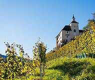 017 16 c FRANZGERDL HE Lavanttal 4662