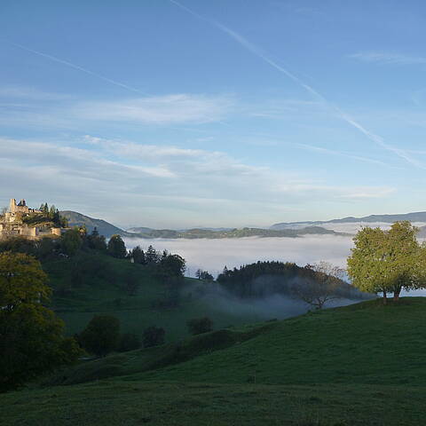 PWSA Etappe 13 Burgruine Rabenstein im Nebel copyright RML GmbH