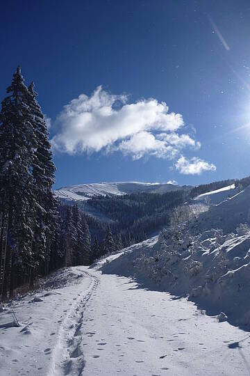 Koralpe 