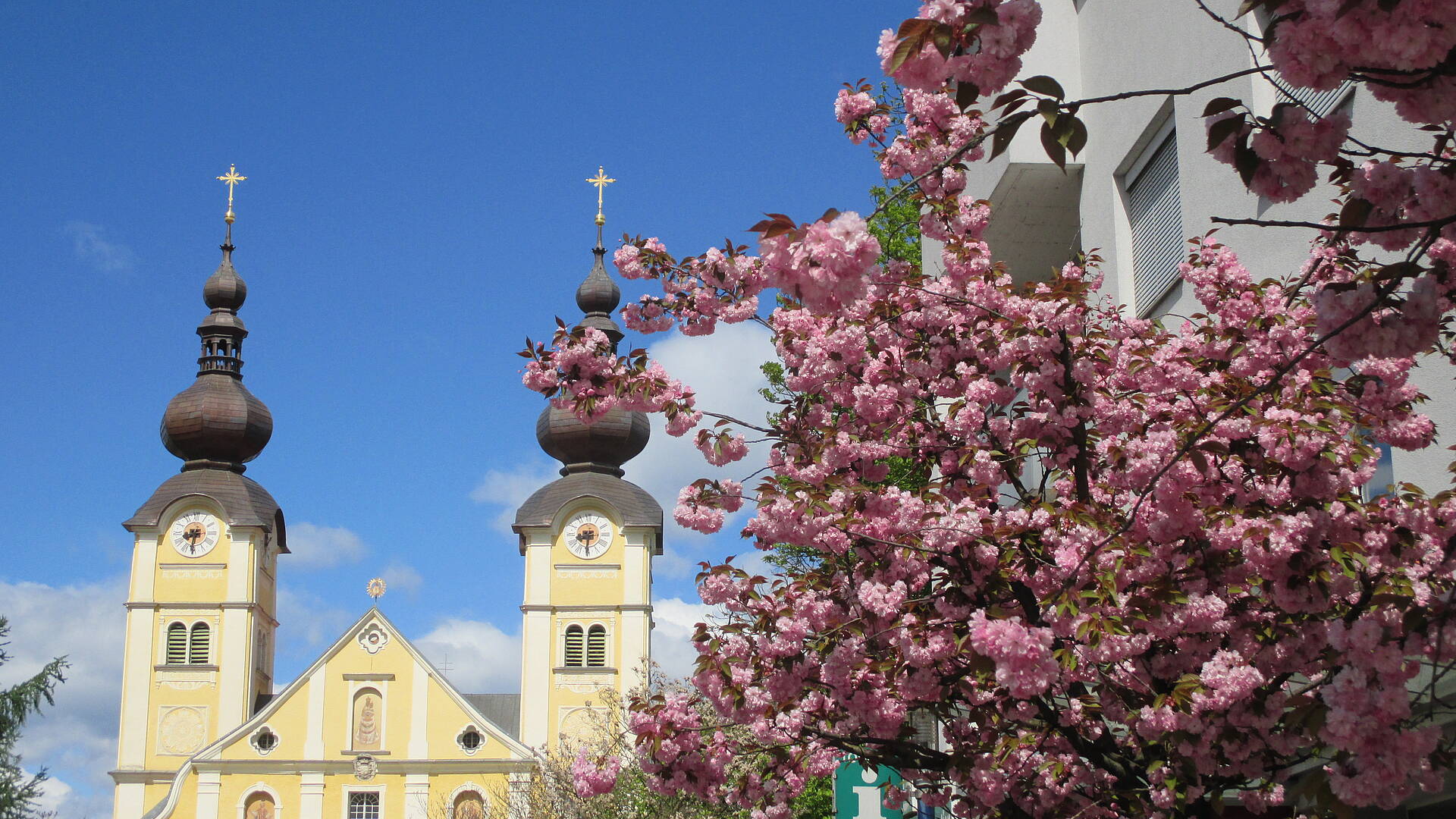 Basilika Maria Loreto mit Blueten Copyright Kulturamt St. Andrae