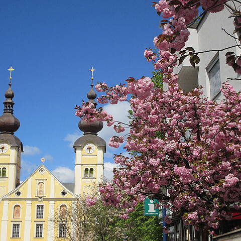 Basilika Maria Loreto mit Blueten Copyright Kulturamt St. Andrae