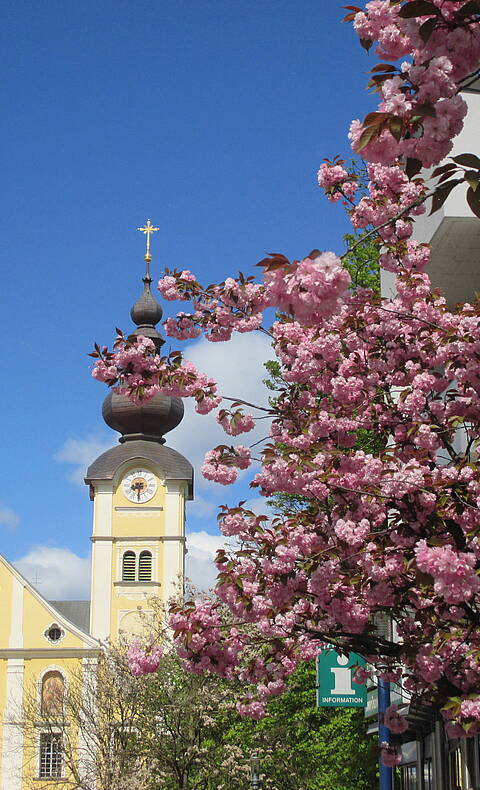 Basilika Maria Loreto mit Blueten Copyright Kulturamt St. Andrae
