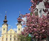 Basilika Maria Loreto mit Blueten Copyright Kulturamt St. Andrae