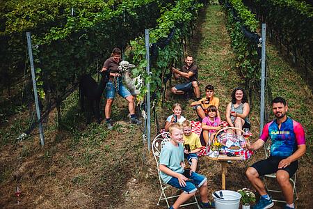 Gourmet, Wein und Alpakas