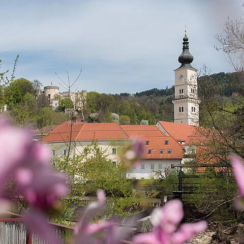 008 15 c FranzGERDL LAVANTTAL Fruehling 0047