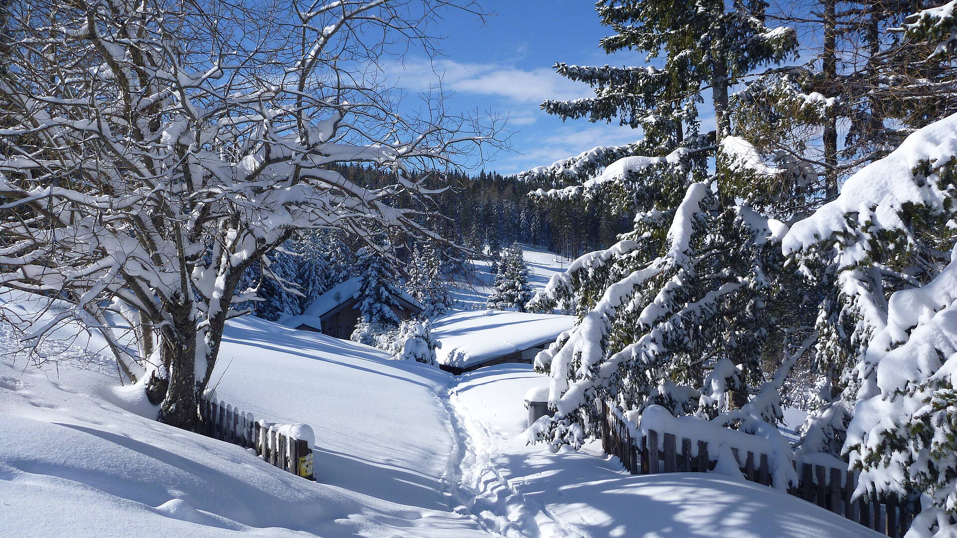 Koralpe Winteridylle