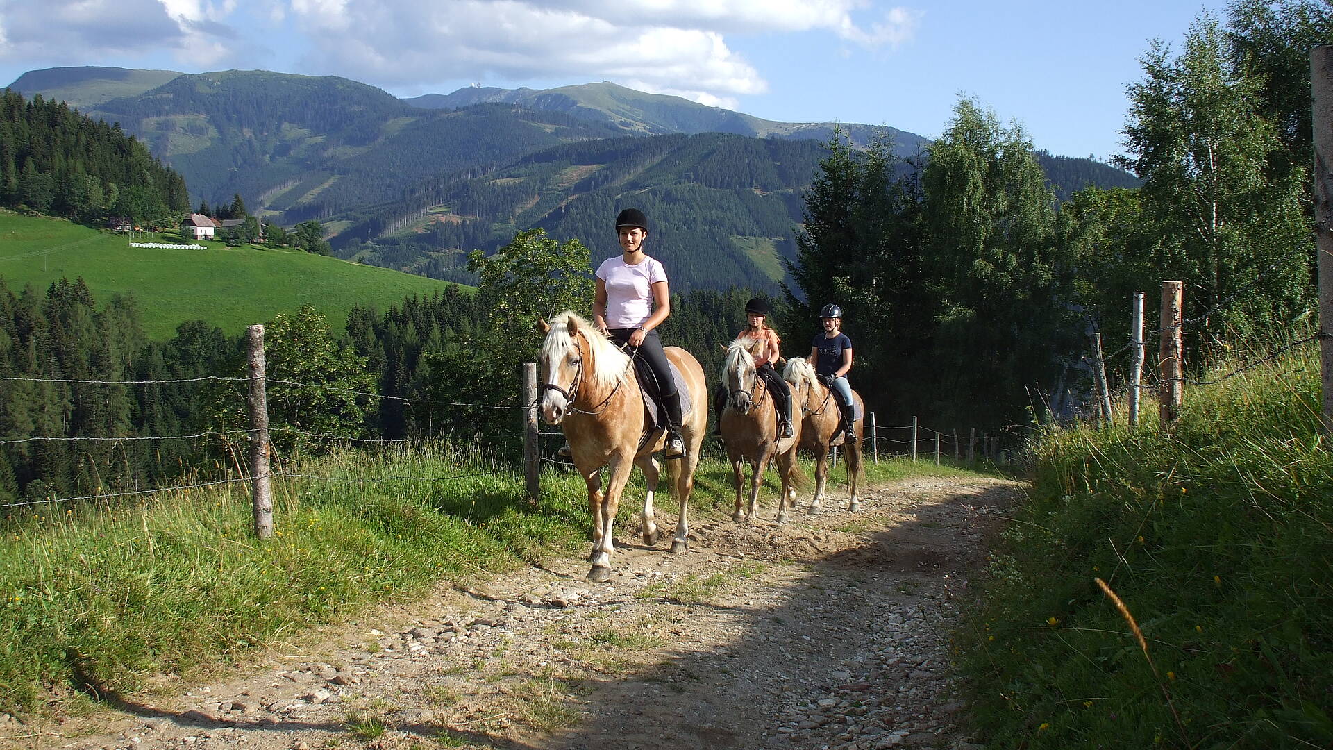 Reitergruppe mit Panorama