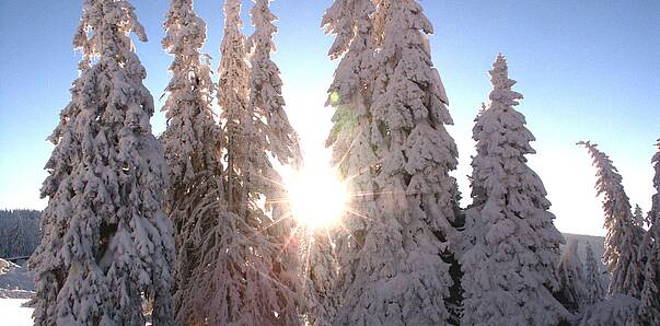 Weinebene Winter