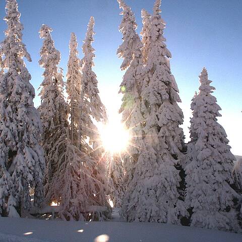 Weinebene Winter