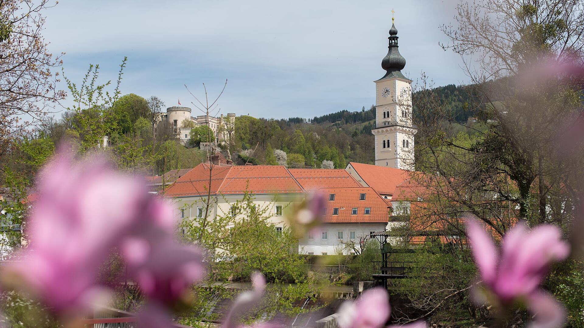 008 15 c FranzGERDL LAVANTTAL Fruehling 0047