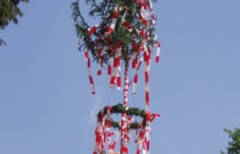 Maibaum beim Cafe Eberhard 29.04.2007