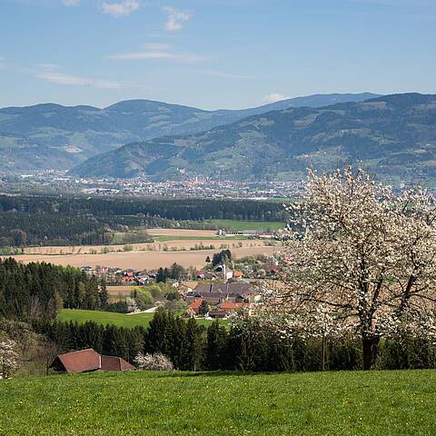 003 15 c FranzGERDL LAVANTTAL Fruehling 3191