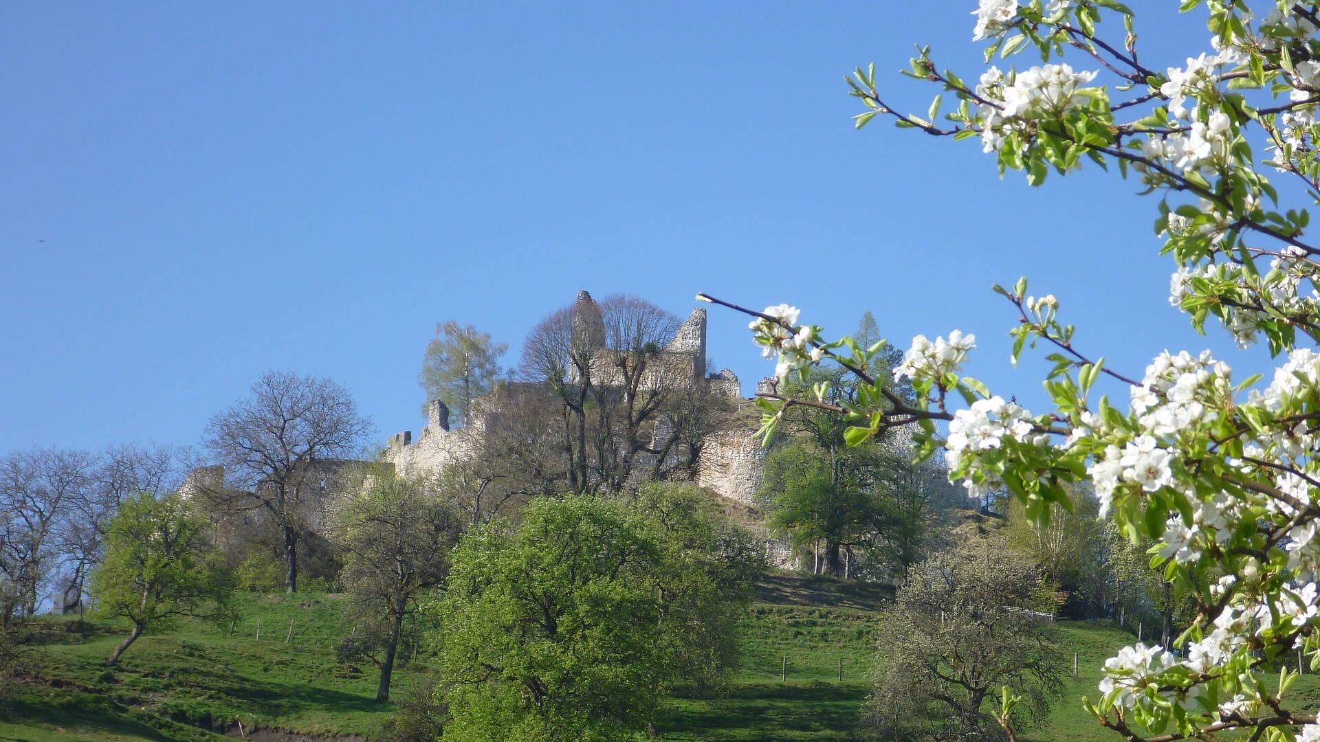 Ruine Rabenstein Fruehling 19 copyright RML GmbH