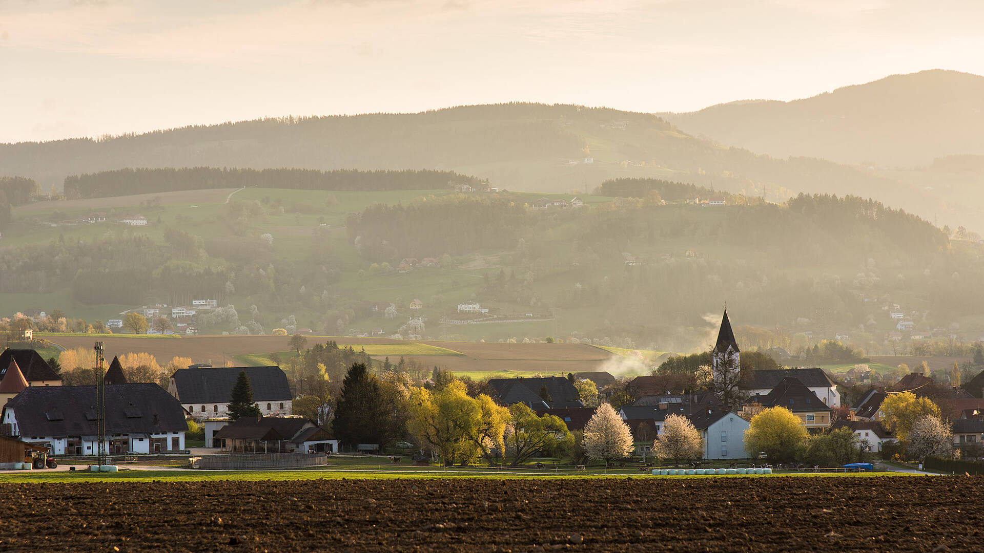 001 15 c FranzGERDL LAVANTTAL Fruehling 3165