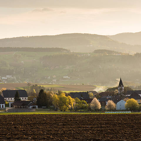 001 15 c FranzGERDL LAVANTTAL Fruehling 3165